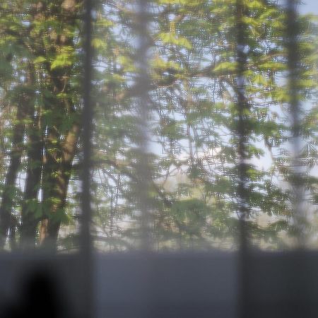 ドルスキニンカイSaulysアパートメント 部屋 写真